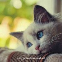 Priya Patel profile picture