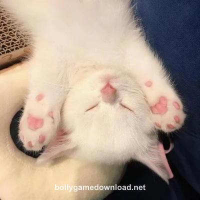 Ananya Reddy profile picture