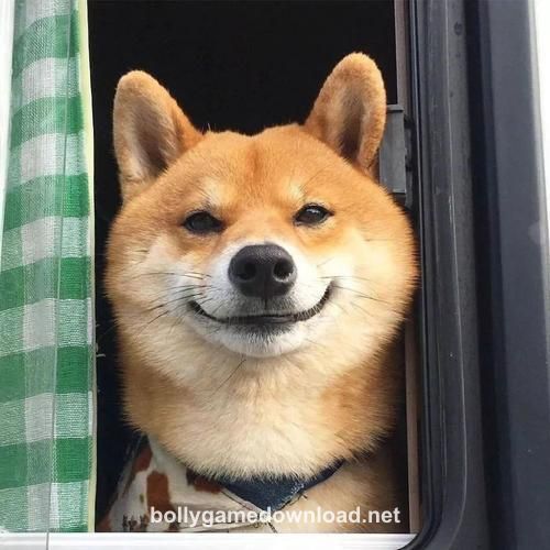 Vikram Singh profile picture